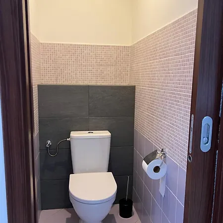 Podkrovní Se Společným Bazénem Appartamento